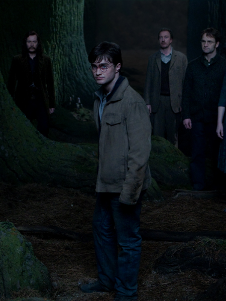 해리 포터와 죽음의 성물™ Part II 인 콘서트 이미지