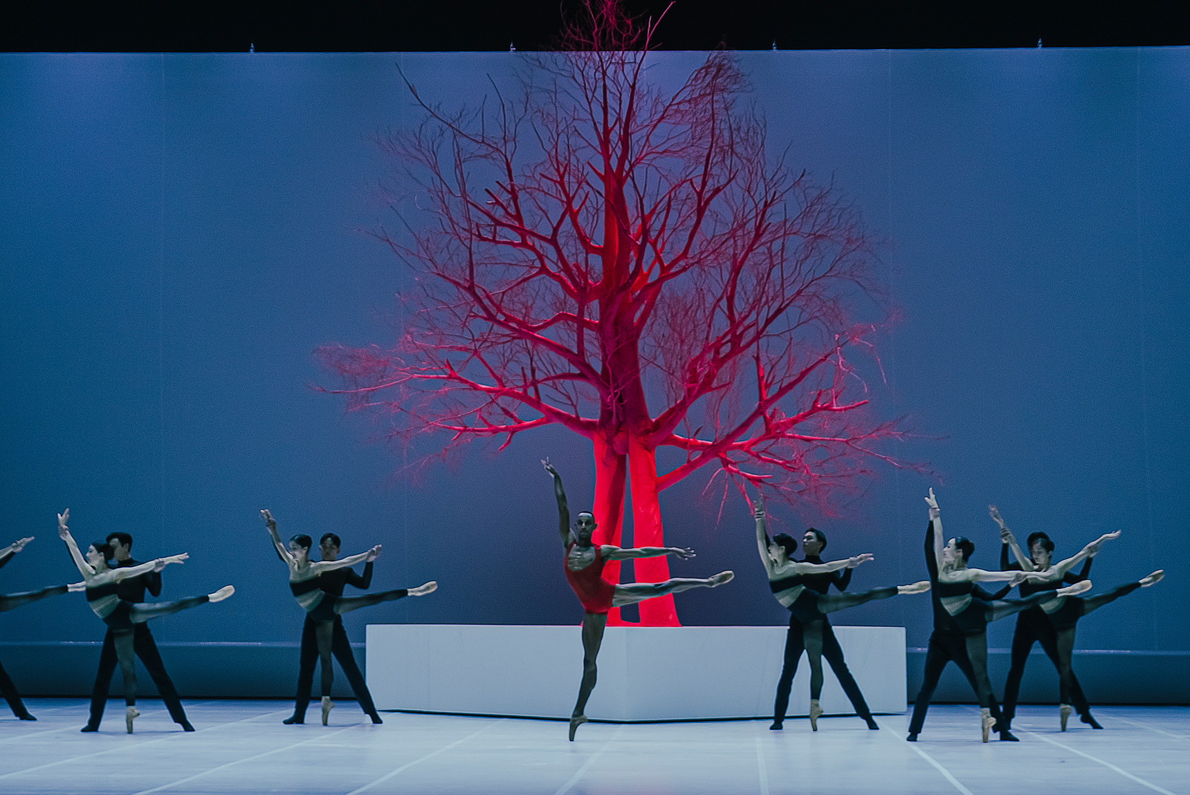 서울시발레단 이미지8