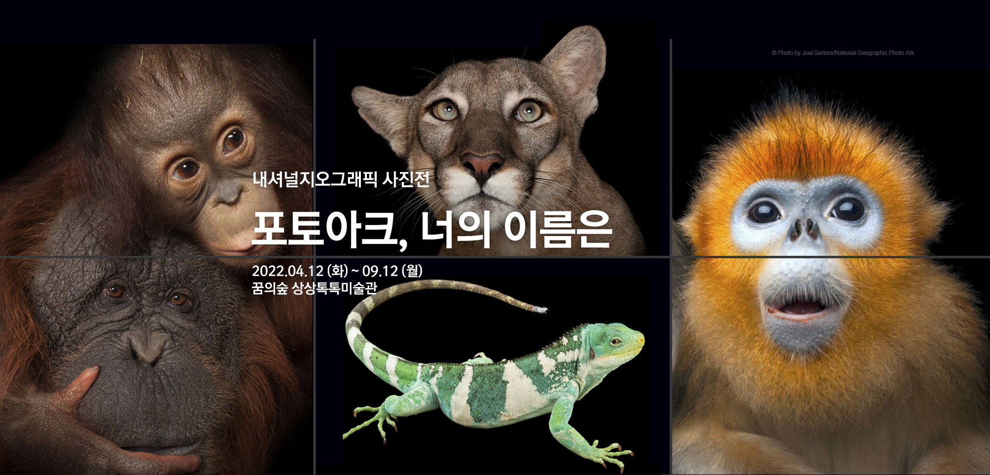 세상에서 가장 희귀한 동물원 <포토아크, 너의 이름은> 내셔널지오그래픽 사진전 2022.04.12(화)~09.12(월) 꿈의숲 상상톡톡미술관