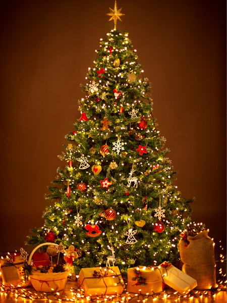 크리스마스 콘서트 이미지