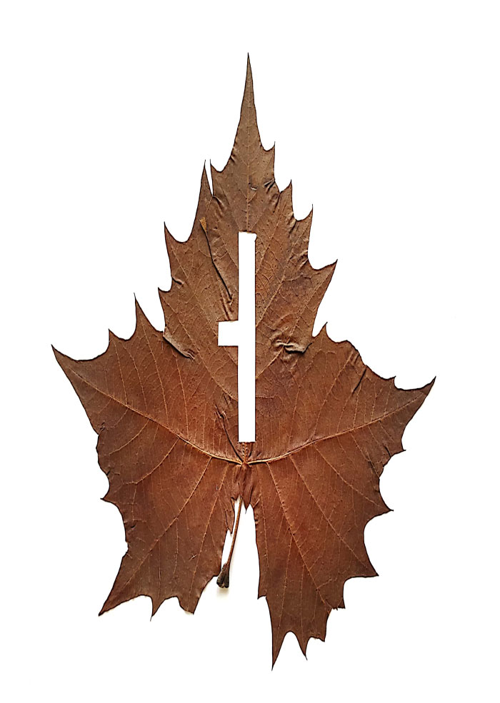 나뭇잎 조각(LEAF ART) 이미지