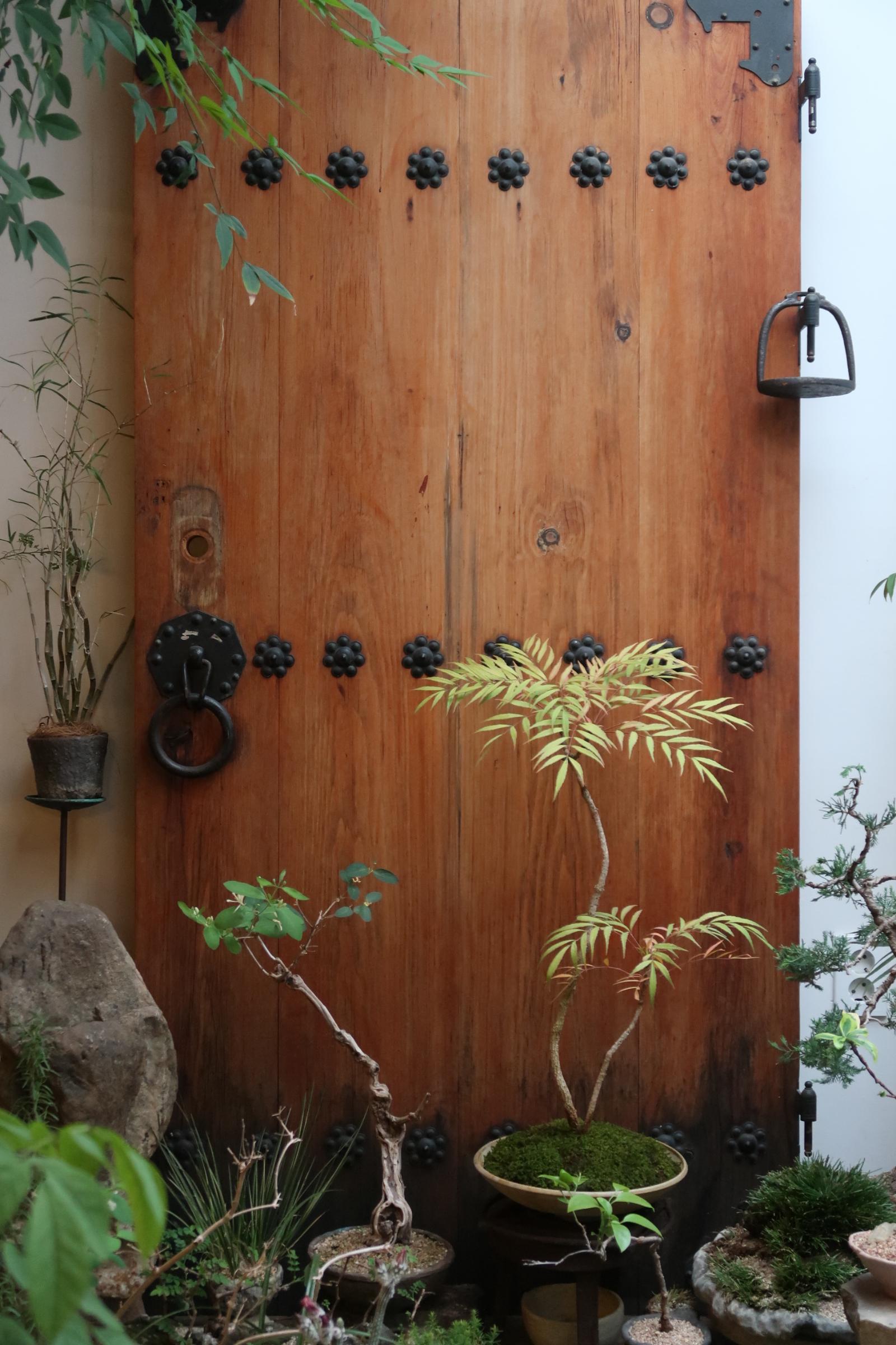 <수묵화와 일무> 2회차 멀티미디어 이미지