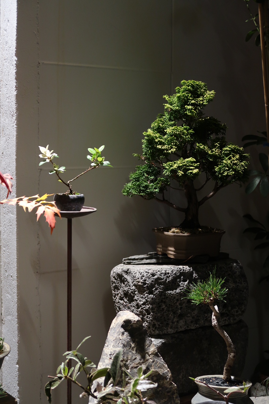 <수묵화와 일무> 1회차 멀티미디어 이미지