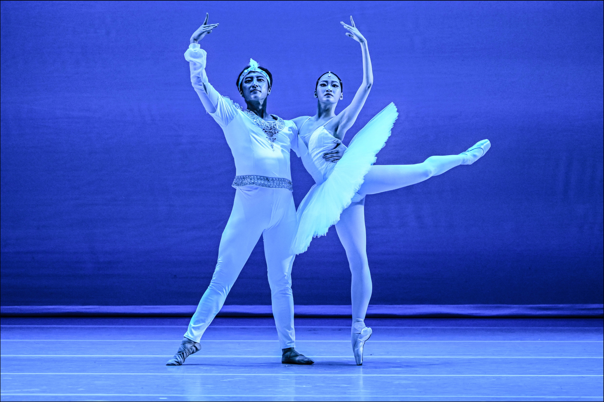 발레드림(Ballet Dream) 멀티미디어 이미지