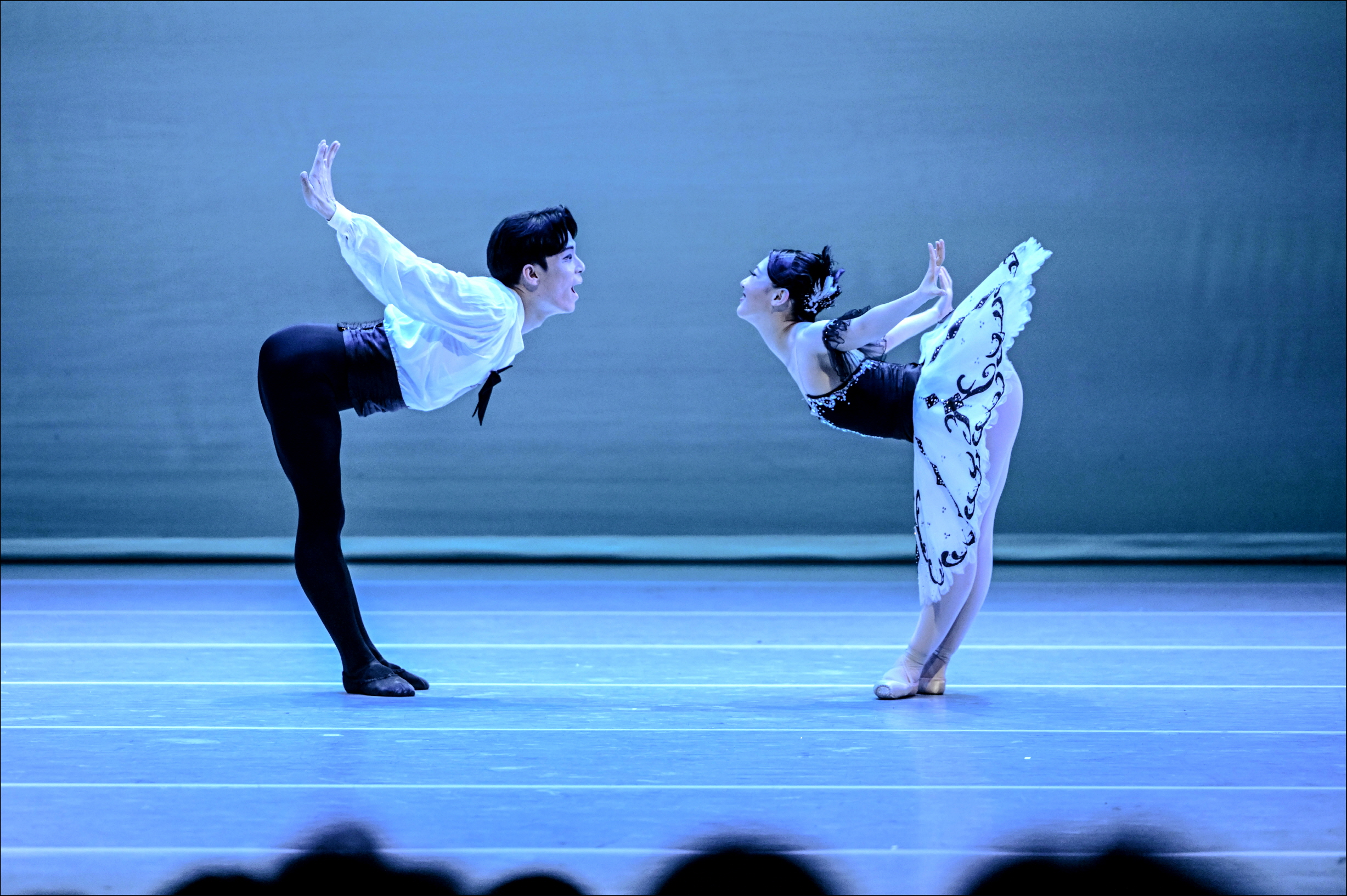 발레드림(Ballet Dream) 멀티미디어 이미지