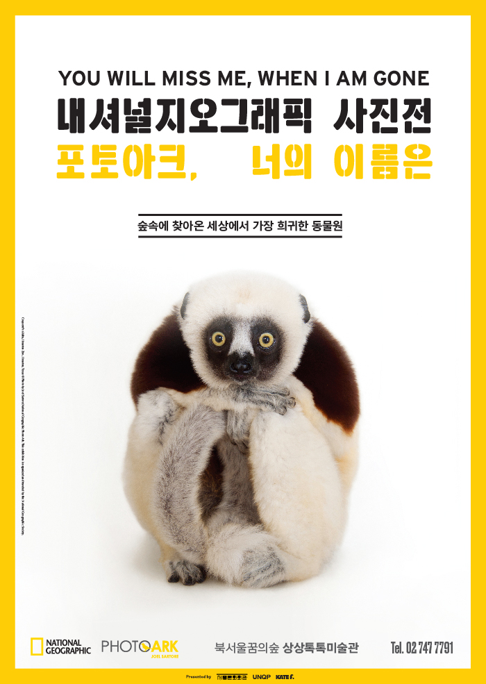 내셔널지오그래픽 사진전 ＜포토아크, 너의 이름은＞ 이미지
