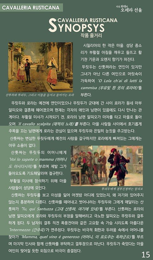 15페이지