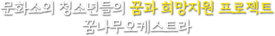 문화소외 청소년들의 꿈과 희망지원 프로젝트 꿈나무오케스트라 