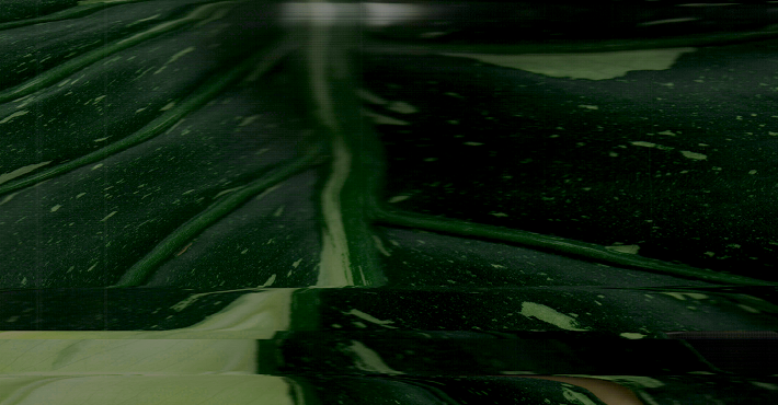 무용 패키지 이미지