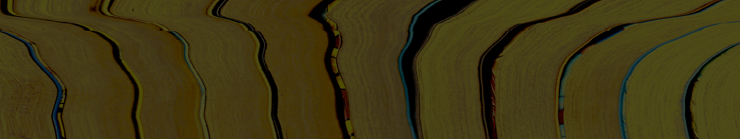 무용 패키지 이미지