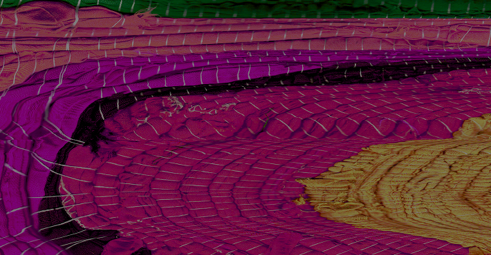 무용 패키지 이미지