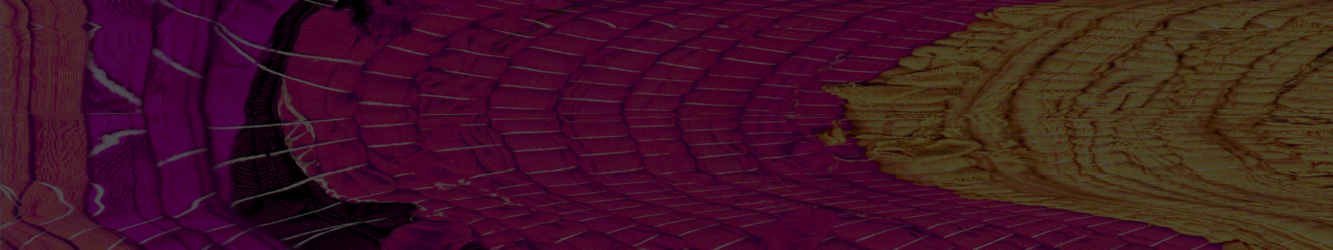 무용 패키지 이미지