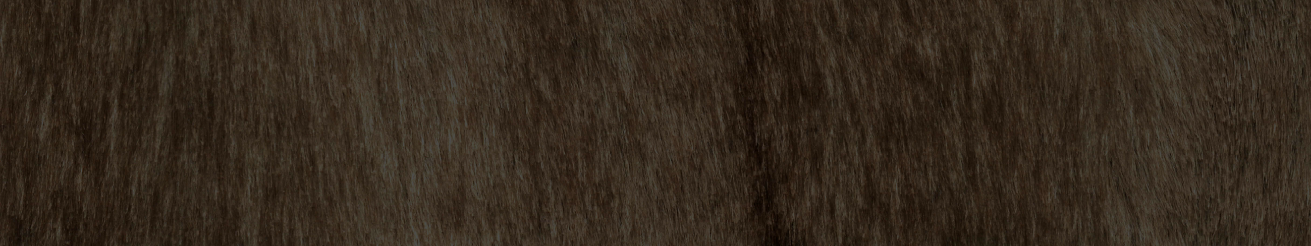 무용 패키지 이미지