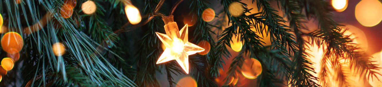 송년 가족 음악회 이미지