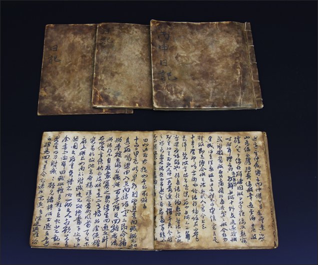 Nanjung Ilgi