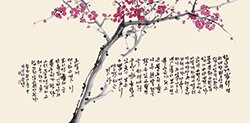 함석헌2